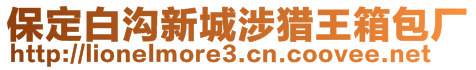 保定白溝新城涉獵王箱包廠