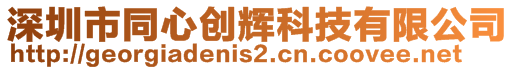 深圳市同心創輝科技有限公司