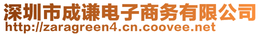 深圳市成謙電子商務(wù)有限公司