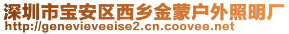 深圳市寶安區(qū)西鄉(xiāng)金蒙戶外照明廠