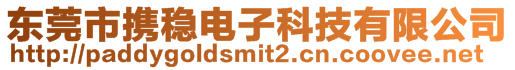 東莞市攜穩(wěn)電子科技有限公司