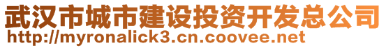 武漢市城市建設(shè)投資開發(fā)總公司