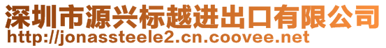 深圳市源兴标越进出口有限公司