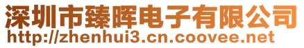 深圳市臻晖电子有限公司