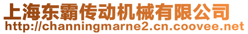 上海東霸傳動機械有限公司