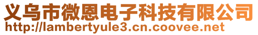 義烏市微恩電子科技有限公司