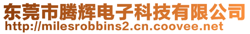 东莞市腾辉电子科技有限公司