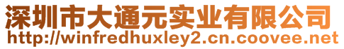 深圳市大通元實業(yè)有限公司