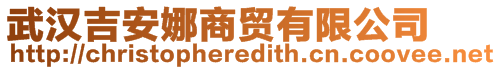 武汉吉安娜商贸有限公司