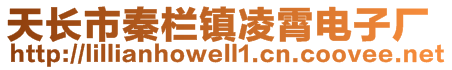 天長市秦欄鎮(zhèn)凌霄電子廠