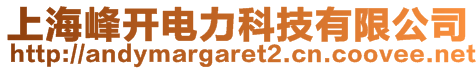 上海峰開電力科技有限公司