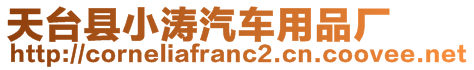 天臺縣小濤汽車用品廠