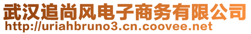 武汉追尚风电子商务有限公司