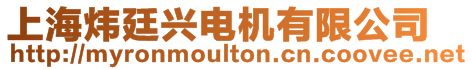 上海煒廷興電機有限公司
