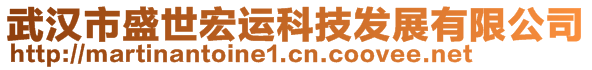 武汉市盛世宏运科技发展有限公司