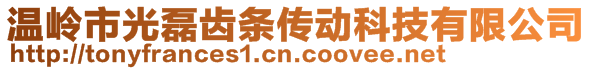 溫嶺市光磊齒條傳動科技有限公司