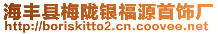 海豐縣梅隴銀福源首飾廠