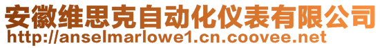 安徽维思克自动化仪表有限公司