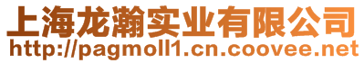 上海龍瀚實(shí)業(yè)有限公司