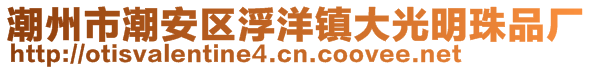 潮州市潮安區(qū)浮洋鎮(zhèn)大光明珠品廠