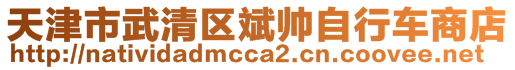 天津市武清區(qū)斌帥自行車商店