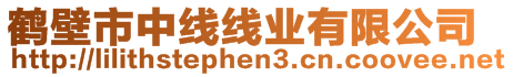 鶴壁市中線線業(yè)有限公司