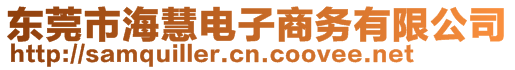 東莞市海慧電子商務(wù)有限公司