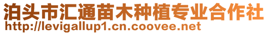 泊頭市匯通苗木種植專業合作社