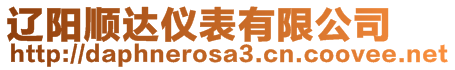 遼陽(yáng)順達(dá)儀表有限公司