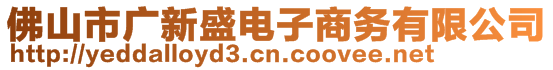 佛山市廣新盛電子商務(wù)有限公司