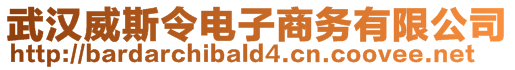 武漢威斯令電子商務(wù)有限公司