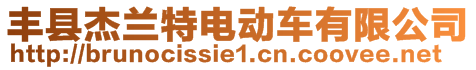 豐縣杰蘭特電動車有限公司