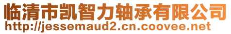 臨清市凱智力軸承有限公司