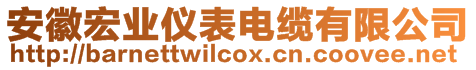 安徽宏業儀表電纜有限公司