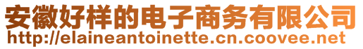 安徽好樣的電子商務有限公司