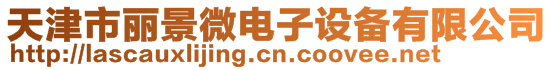 天津市麗景微電子設備有限公司