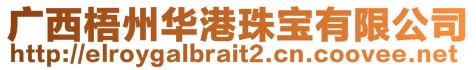 廣西梧州華港珠寶有限公司