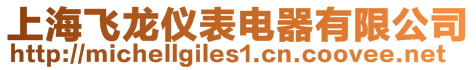 上海飛龍儀表電器有限公司