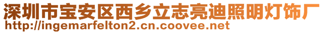 深圳市寶安區(qū)西鄉(xiāng)立志亮迪照明燈飾廠