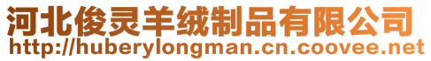 河北俊靈羊絨制品有限公司