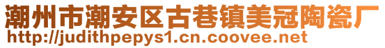 潮州市潮安區(qū)古巷鎮(zhèn)美冠陶瓷廠