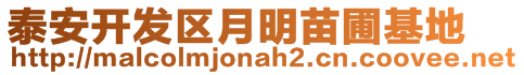 泰安開發(fā)區(qū)月明苗圃基地