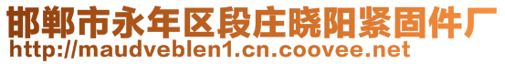 邯郸市永年区段庄晓阳紧固件厂