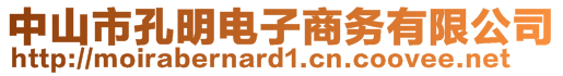 中山市孔明電子商務(wù)有限公司