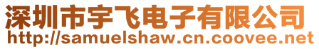 深圳市宇飛電子有限公司