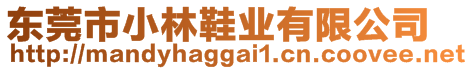 東莞市小林鞋業(yè)有限公司