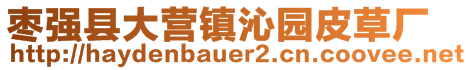 棗強(qiáng)縣大營(yíng)鎮(zhèn)沁園皮草廠