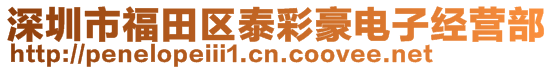 深圳市福田區泰彩豪電子經營部