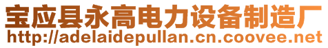 寶應縣永高電力設備制造廠