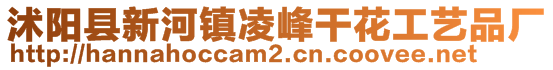 沭陽縣新河鎮凌峰干花工藝品廠